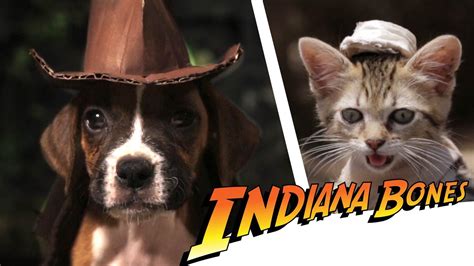 Indiana bones - Indiana Bones and the Temple of Treats is a 2016 American action-adventure film starring Georgetown's mascot Jack the Bulldog. It is prequel to the 2015 film...